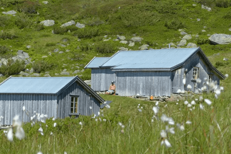 Sirdal Huskyfarm AS Aktivitetsarrangør, Sirdal - 5