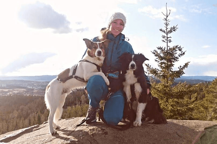 Samuelsen Hundetrening Kjæledyr - Tjenester, Oslo - 1