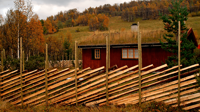 Norsk Skigard AS Skogbruk, Nord-Fron - 1