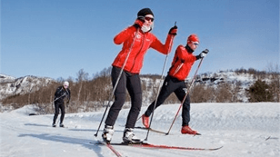 Sirdal kommune Offentlig virksomhet, Sirdal - 4