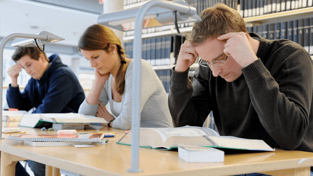 STUDIESENTERET MIDT-TROMS AS Universitet, Høyskole, Senja - 10