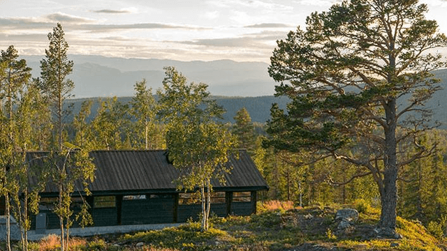 Ålhytta AS Hus, Ål - 5