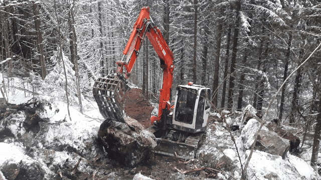 Romedal Almenning og Stange Almenning Skogbruk, Stange - 1