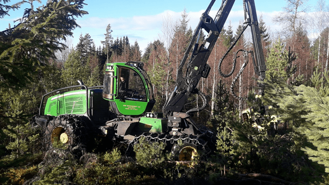 Romedal Almenning og Stange Almenning Skogbruk, Stange - 9