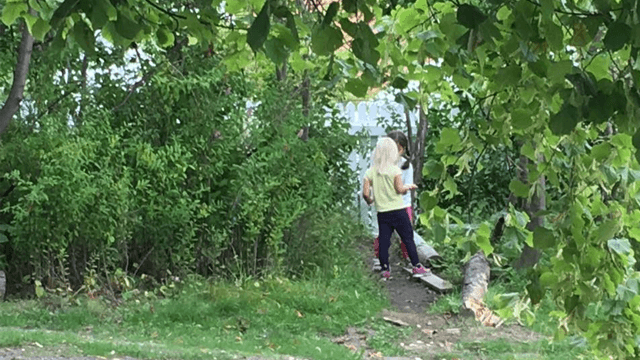 Fredvika Steinerbarnehage Barnehage - Offentlig, Gjøvik - 3