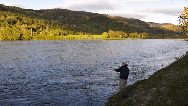 Norwegian Flyfishers Club AS Hotell, Midtre Gauldal - 1