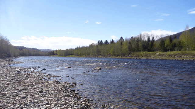 Norwegian Flyfishers Club AS Hotell, Midtre Gauldal - 3