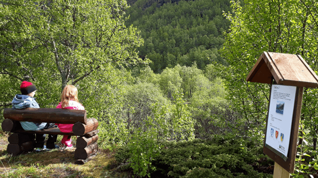 Østerbø Fjellstove AS Hotell, Aurland - 7