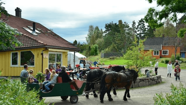 Vidaråsen landsby Helsetjeneste, Omsorgstjeneste, Sandefjord - 4