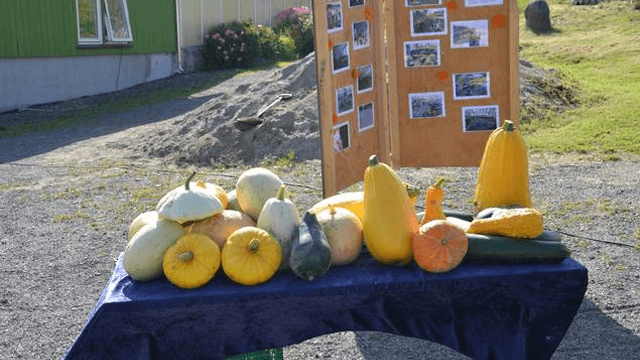 Vidaråsen landsby Helsetjeneste, Omsorgstjeneste, Sandefjord - 6