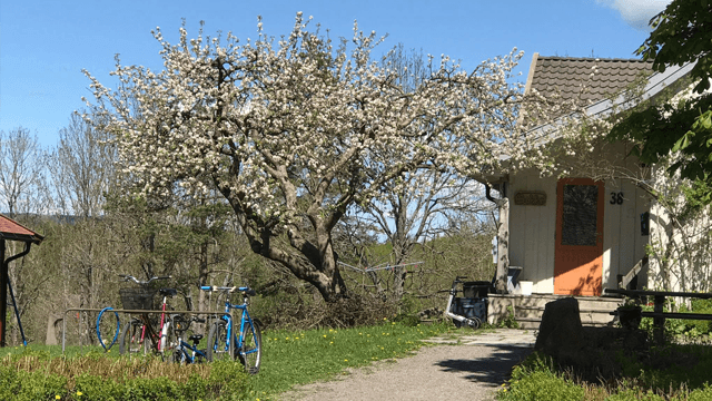 Vidaråsen landsby Helsetjeneste, Omsorgstjeneste, Sandefjord - 9