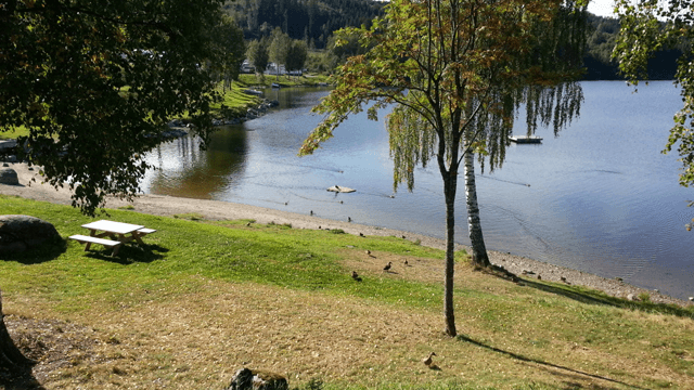 Topcamp Mjøsa Campingplass, Ringsaker - 2