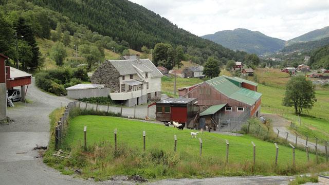 Hjortland Hundesportsenter Husdyravl, Bergen - 1