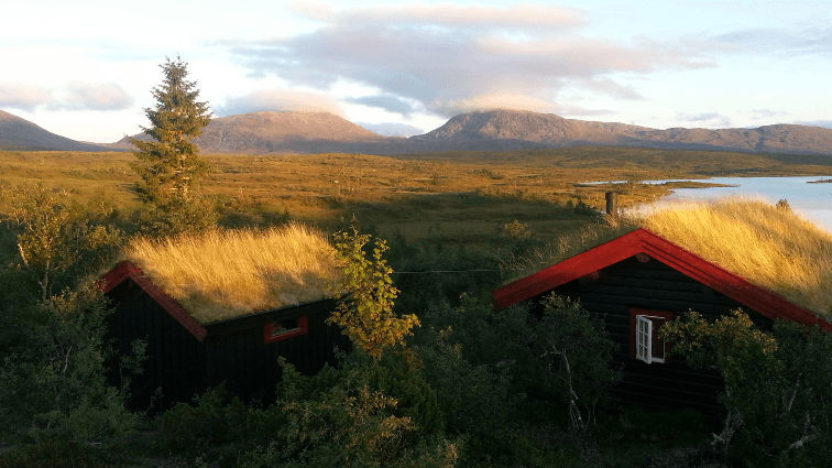 AS Værdalsbruket Fritidsbolig , Feriebolig, Verdal - 3