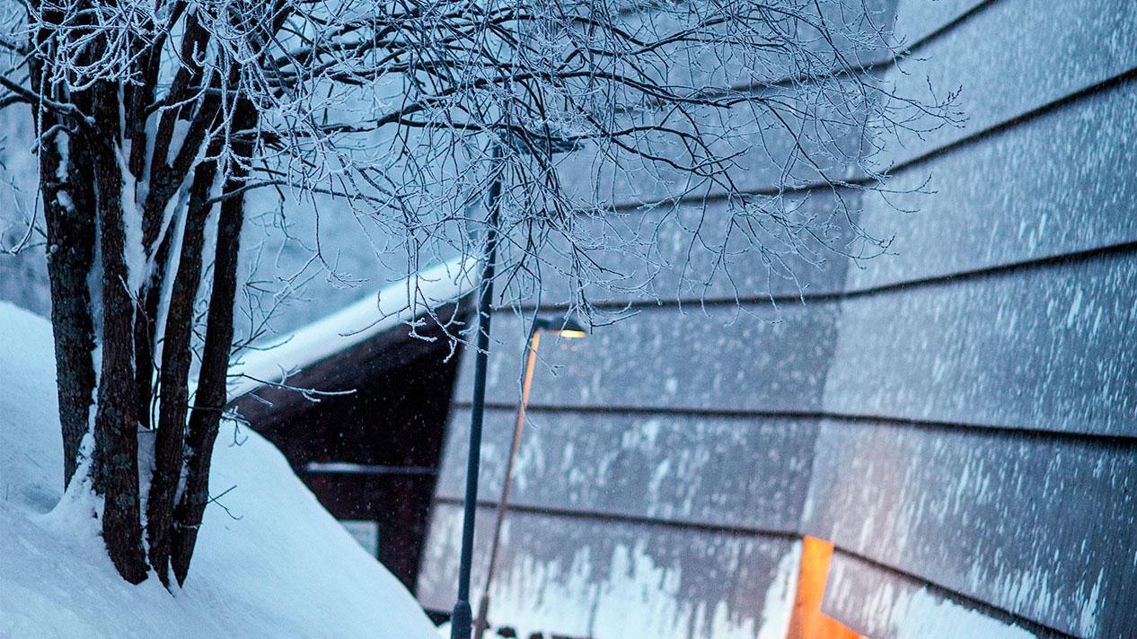 Sanne Hauglid AS Byggmester og Entreprenørforretning Entreprenør, Nord-Aurdal - 1