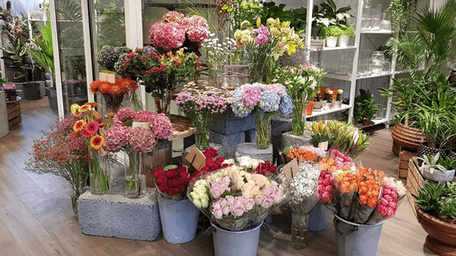 BØNES BLOMSTER OG HAGESENTER Blomsterbutikk, Bergen - 1