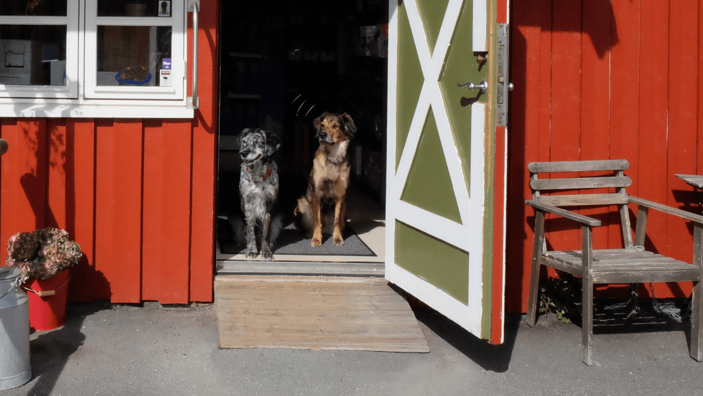 Enebakk Dyreklinikk AS Veterinær, Enebakk - 2