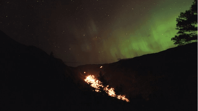 Rjukan og Tinn Boligbyggelag Borettslag, Tinn - 2