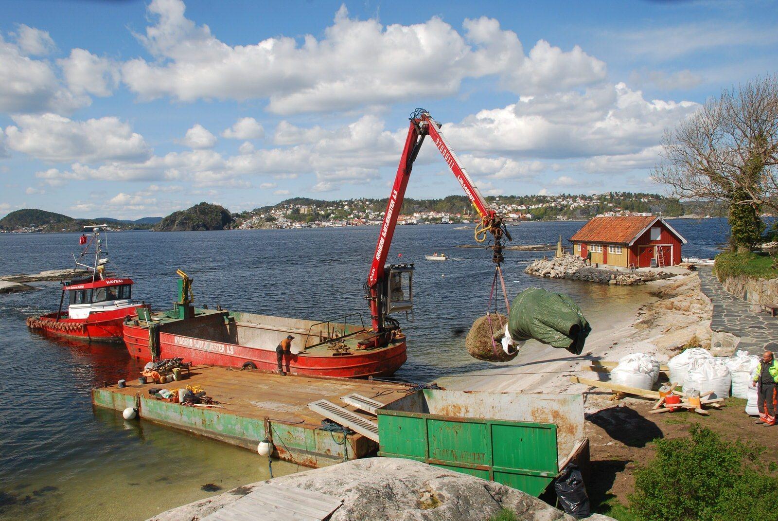 Skagerak Trepleie - Peder Aarø AS Trefelling, Kragerø - 2