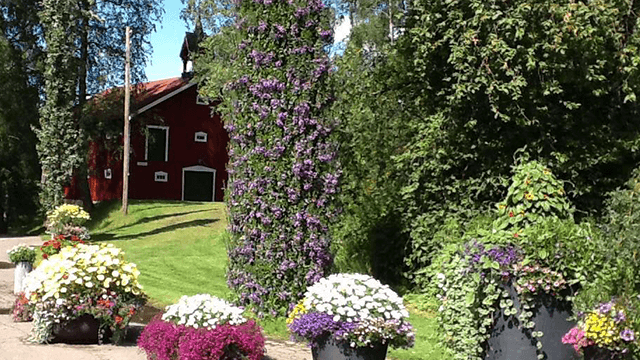 Skraastad Gård og Gartneri Frukt, Bær, Grønnsak - Produksjon, Hamar - 1