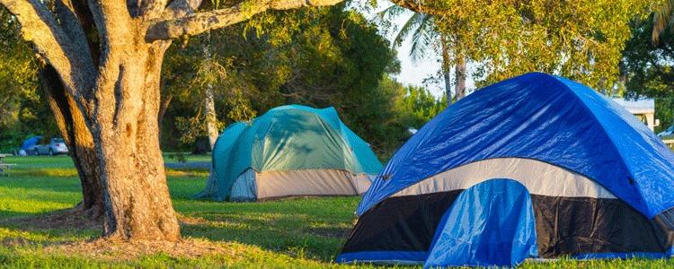 Røed Camping Magnus Tjelmeland