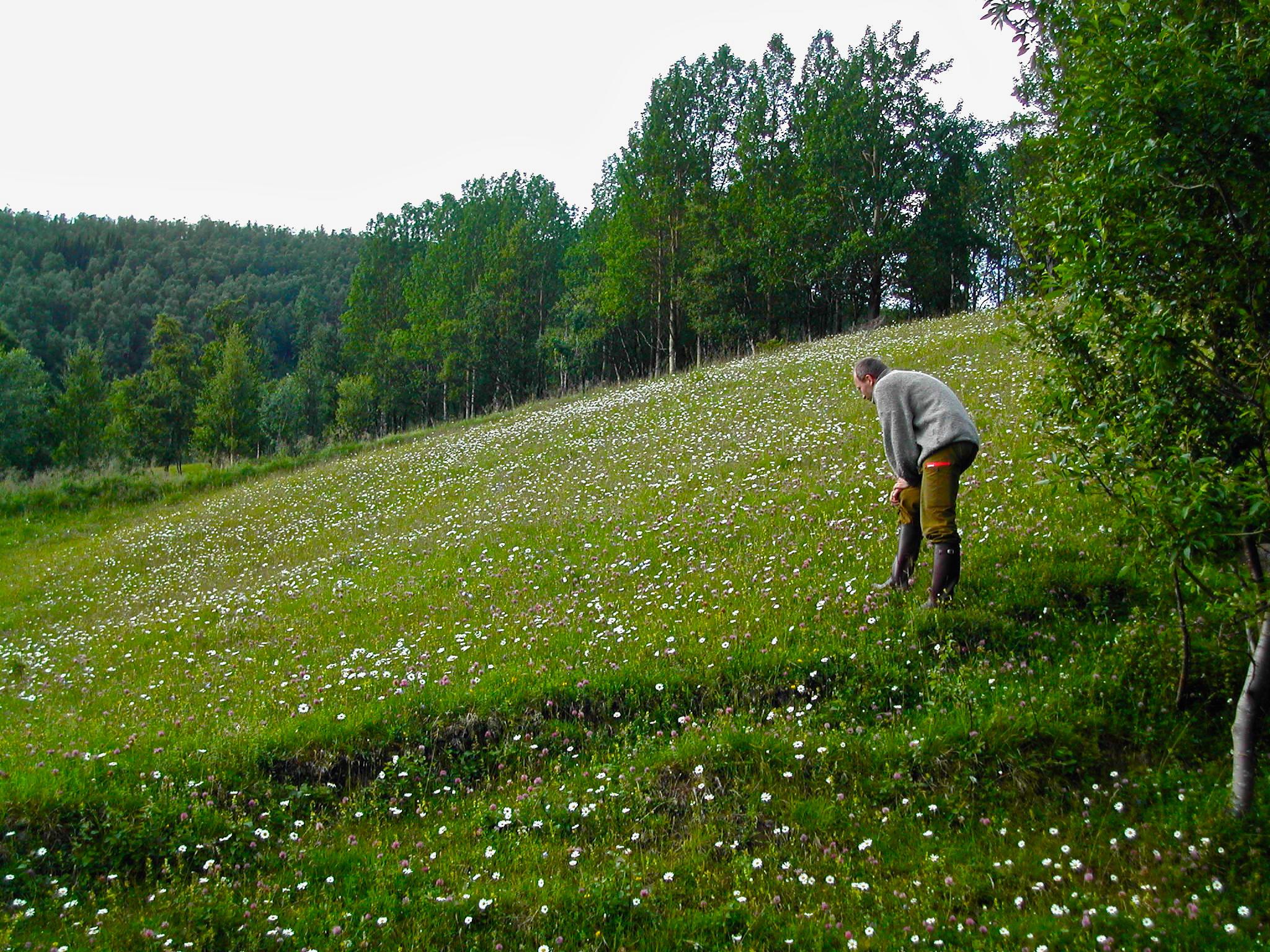 Miljøfaglig Utredning AS Kurs, Tingvoll - 5