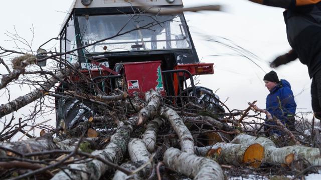 Gildeskål Vekst AS Vernet bedrift, Gildeskål - 3