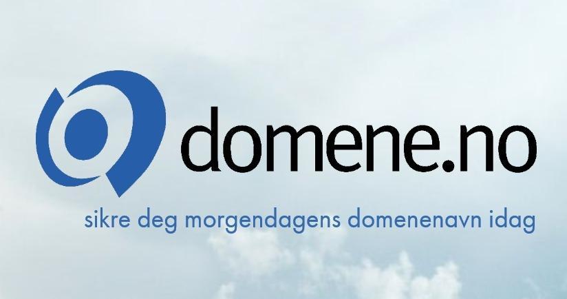 Domene AS IT-Konsulent, IT-Rådgivning, Oslo - 2