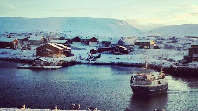 Berle Fisk AS Fiskeforedling, Berlevåg - 2