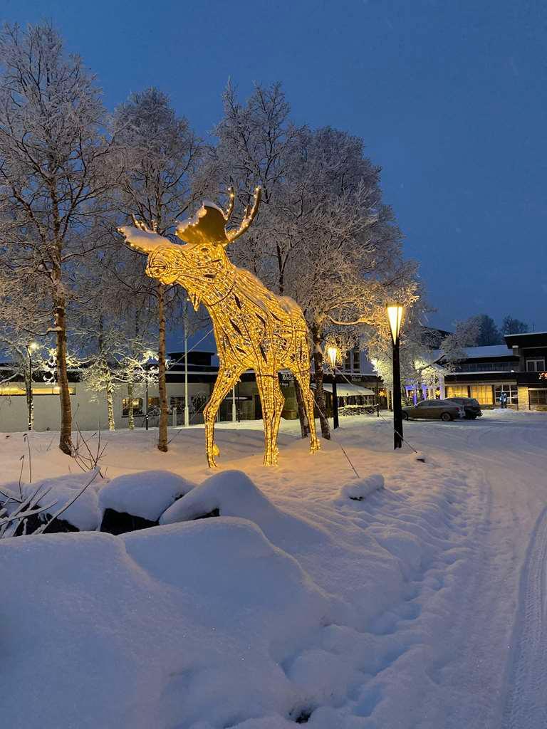 Radisson Blu Mountain Resort, Beitostolen Spa, Kursted, Øystre Slidre - 15