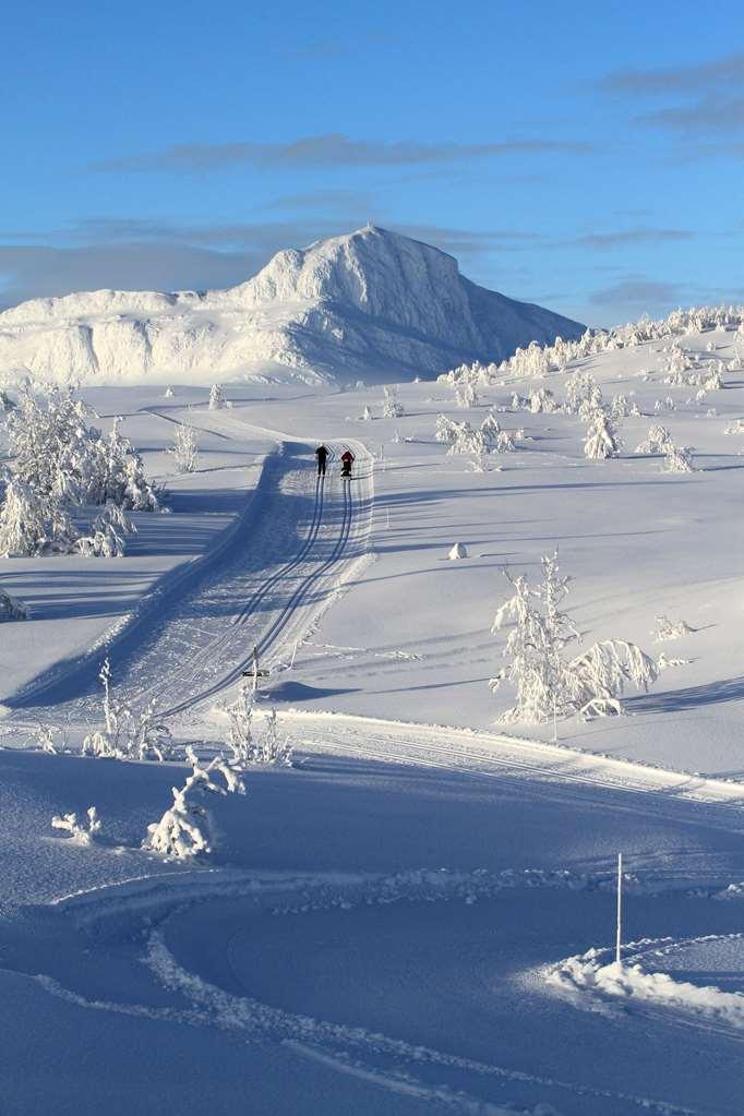 Radisson Blu Mountain Resort, Beitostolen Spa, Kursted, Øystre Slidre - 12