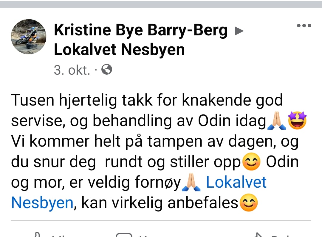 Lokalvet Nesbyen Veterinær, Gol - 5