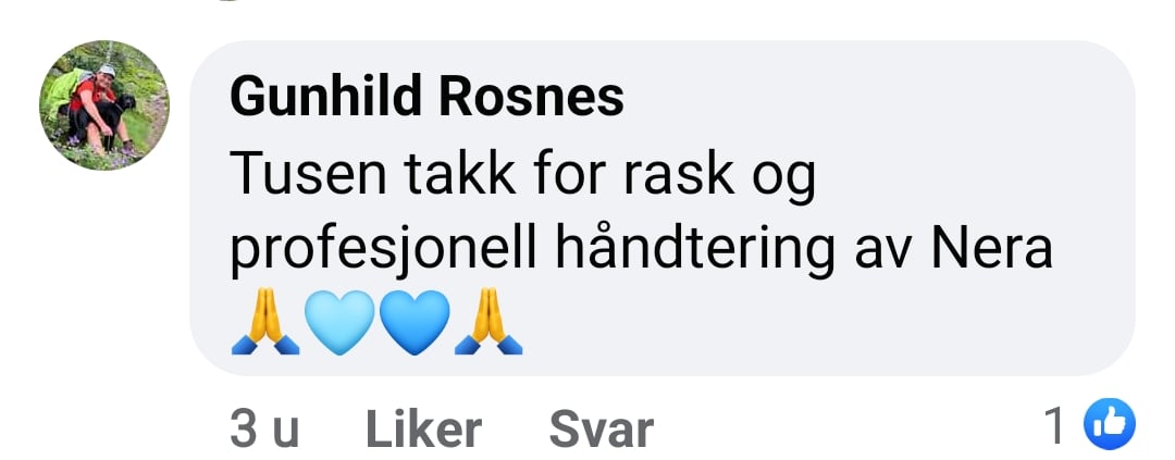 Lokalvet Nesbyen Veterinær, Gol - 4