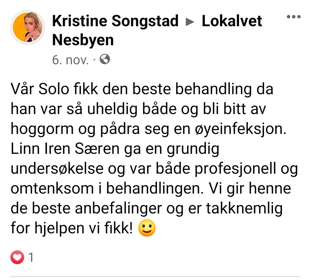 Lokalvet Nesbyen Veterinær, Gol - 3