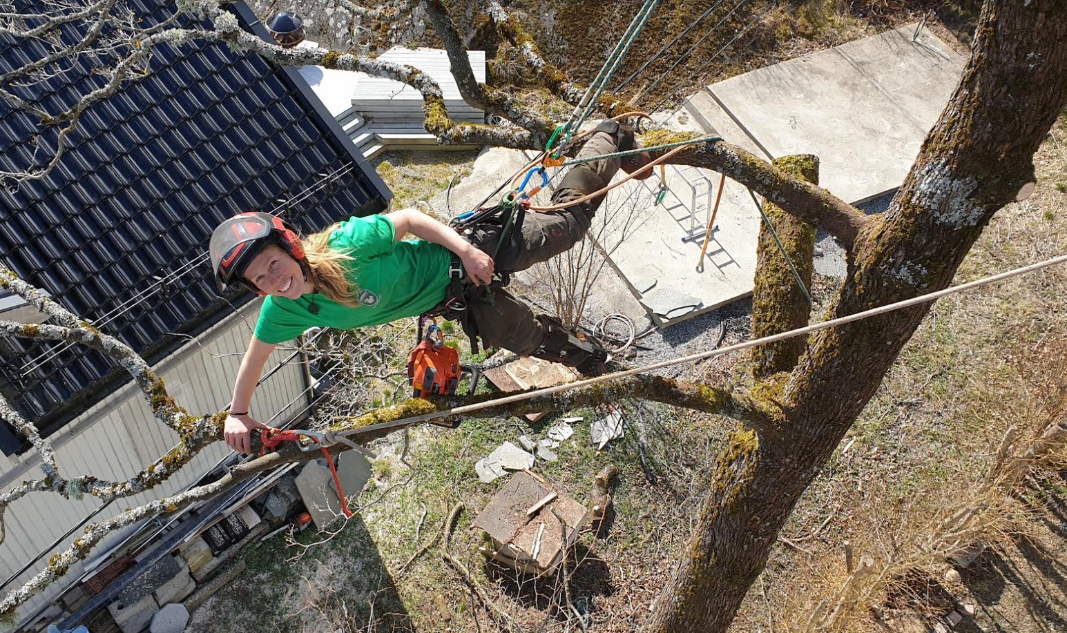 EKORN TREPLEIE AS Trefelling, Ås - 4