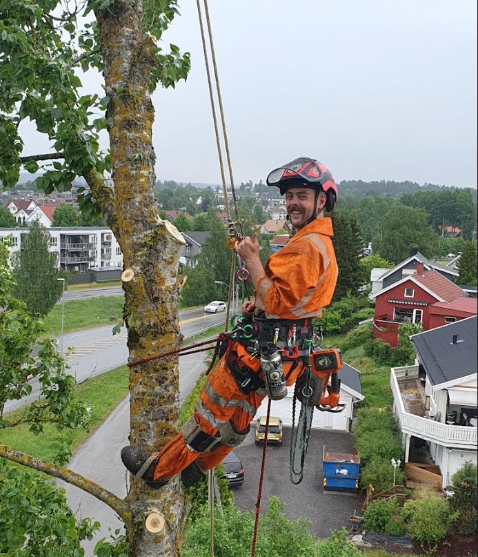 EKORN TREPLEIE AS Trefelling, Ås - 2