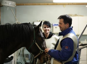 Biri Hesteklinikk Veterinær, Nordre Land - 1