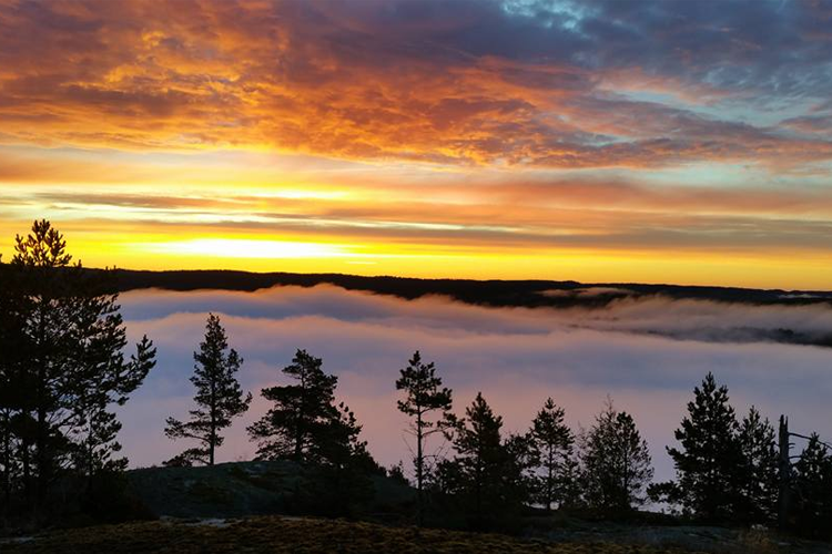 Stoveland Gård Landbrukstjeneste, Lindesnes - 1