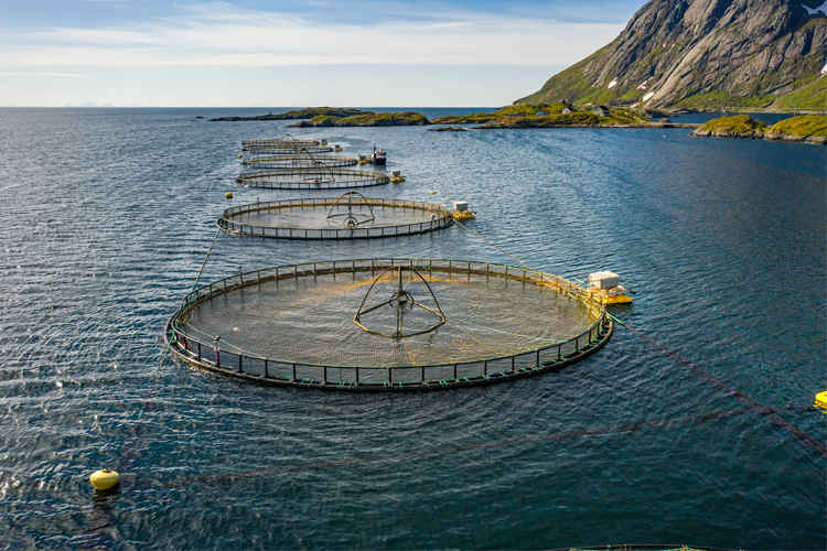 Brødrene Dahl AS avd Stjørdal Rørleggerutstyr, Stjørdal - 5