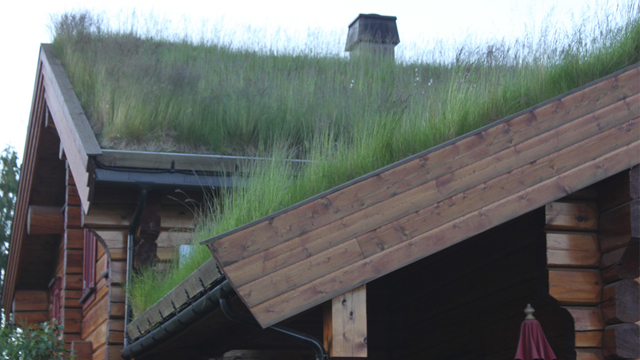 Nittedal Torvindustri AS Stein, Mineral, Åsnes - 8