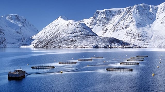 EGERSUND TRÅL AS Tauverk, Hyssing, Eigersund - 4