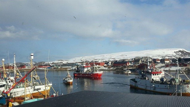 Berle Fisk AS Fiskeforedling, Berlevåg - 5