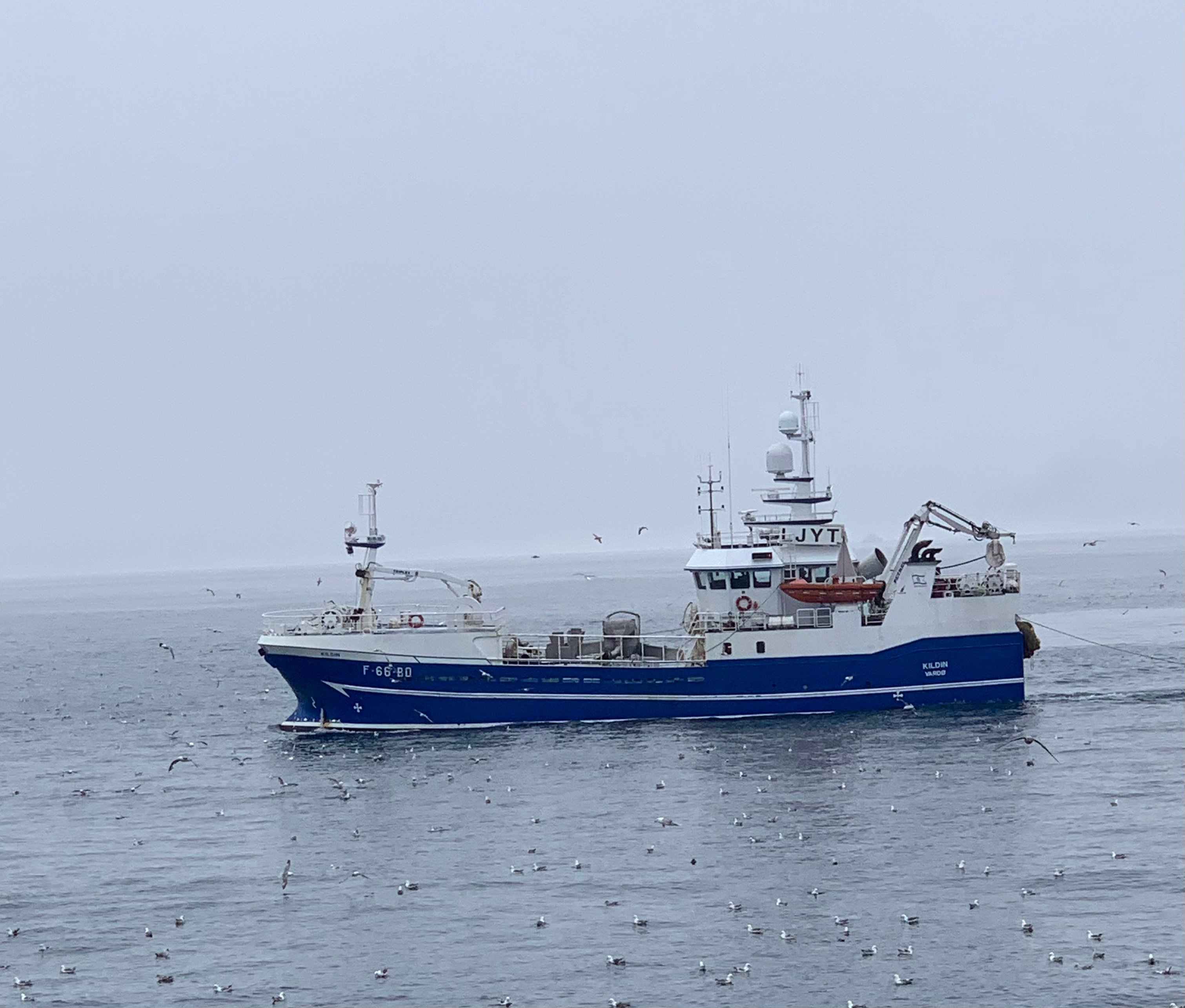 Mikal Solhaug AS Skipsrederier, Båtsfjord - 2